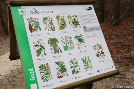 Z zasaditvijo dreves smo uradno odprli kolesarsko povezavo Kamnik–Godič (71)